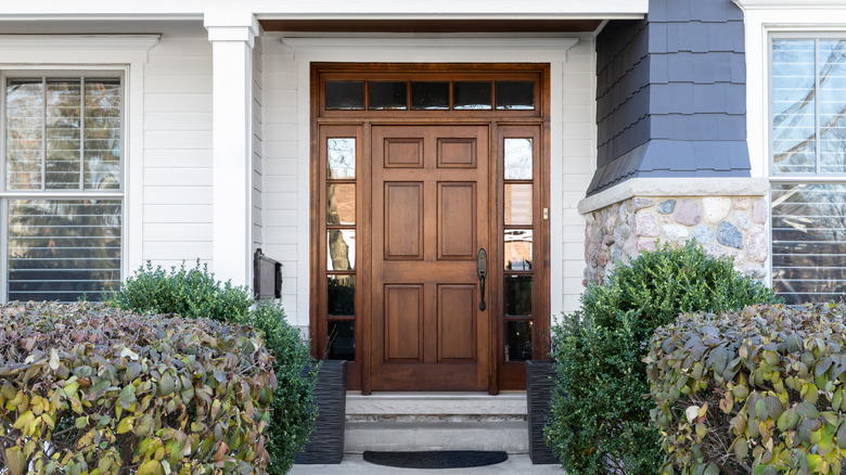 Brown front door