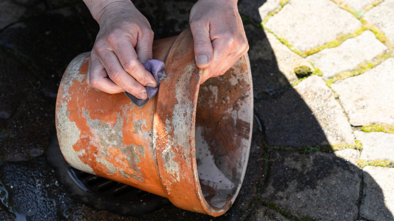 Person cleaning a terracotta planter.