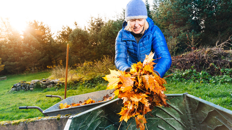 Woman places leaves into a compost bin