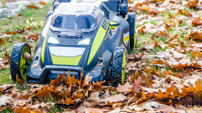 Mulching mowers are the best choice for removing leaves.