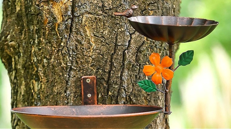 Bird bath and feeder mounted to the side of a tree