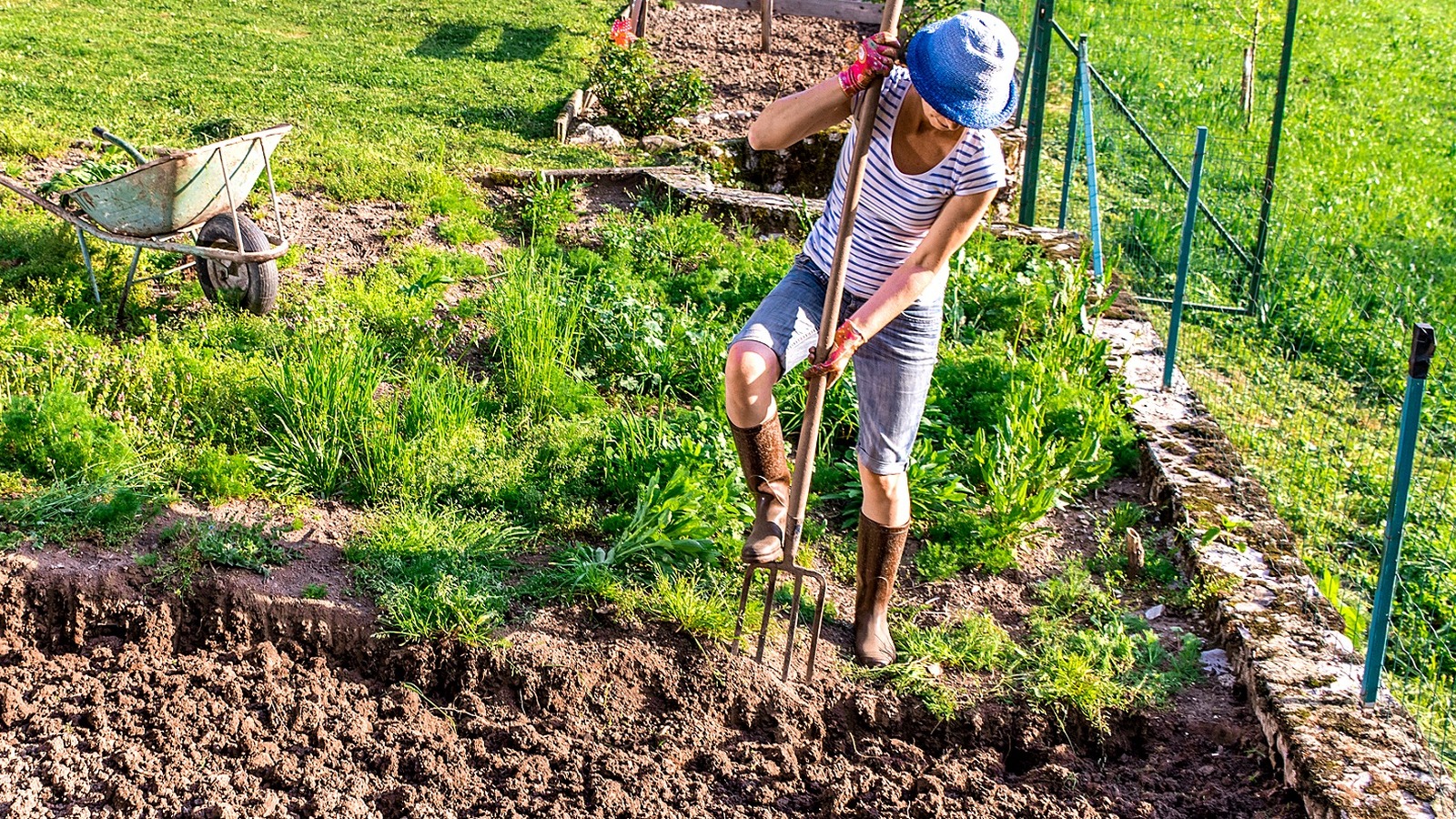 Forget Basic Garden Forks: The Heavy-Duty Alternative Makes Breaking Up ...