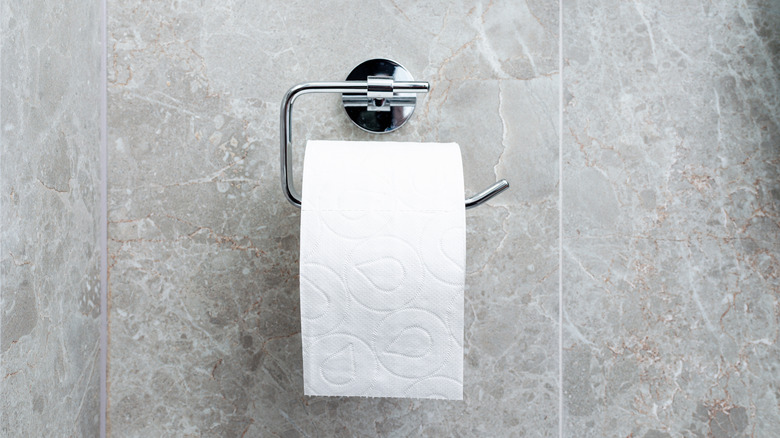 a boring wall-mounted toilet paper in chrome offers a minimalist style