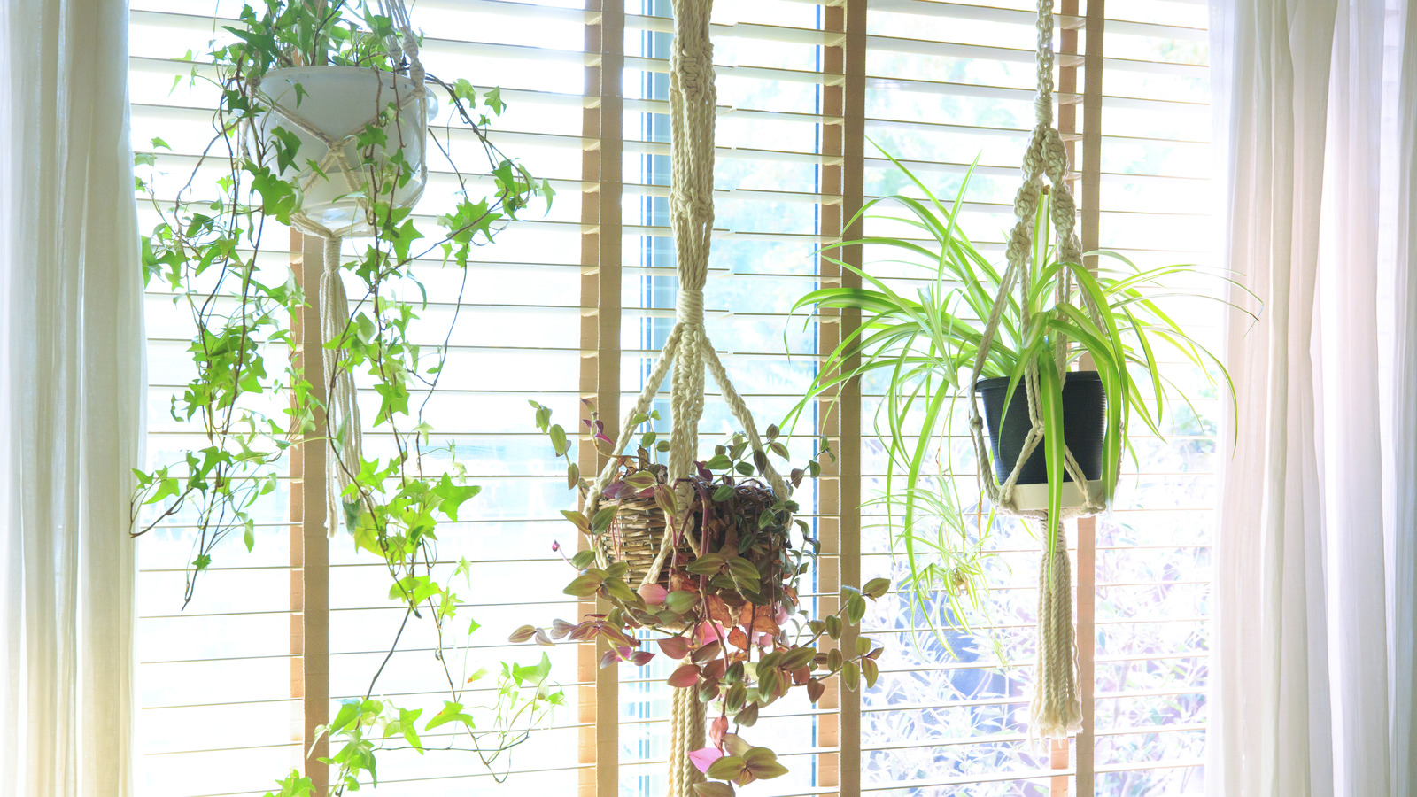 modern plants indoor Mini Wood Indoor Plant Stand with Ceramic Pot main image 1