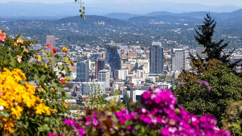 Blooming flowers in a green space overlooking downtown Portland