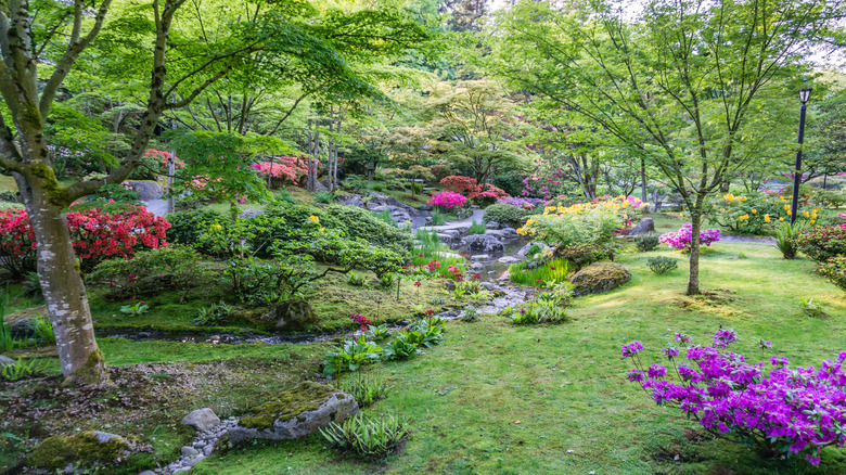 Seattle garden in spring.