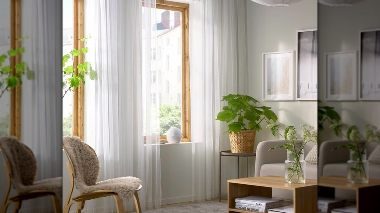 LILL Sheer curtains from IKEA in a brightly lit room with plants and natural materials