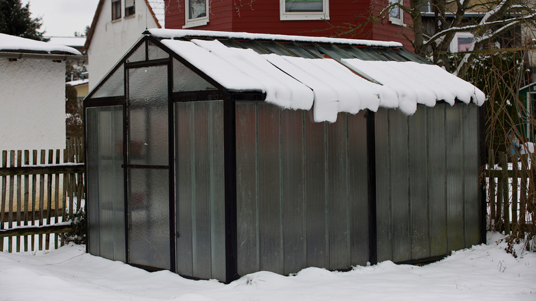 Backyard greenhouse surrounded by snow