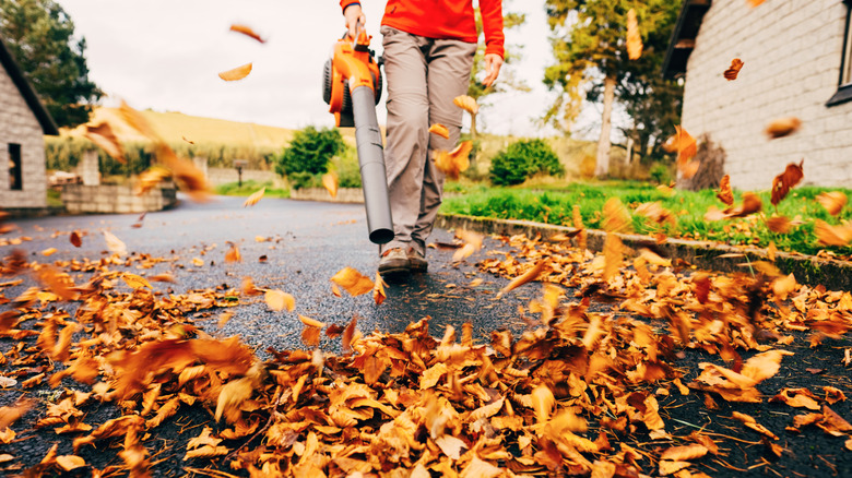 A person clearing away leaves with a leaf blower