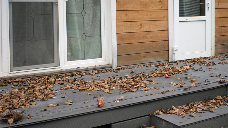 Patio deck floor littered with leaves