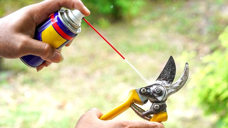 A person spraying garden shears with a rust remover spray