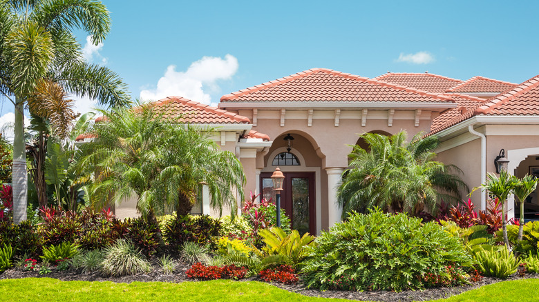 a tropical garden in front of a house with a variety of plants and palms