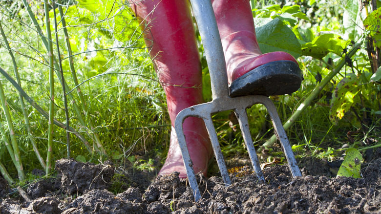 a person digging into the ground with a pitchfork