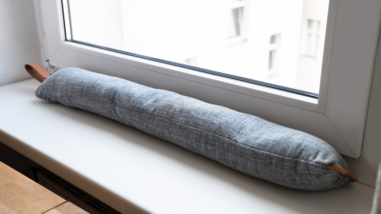 cute draft excluder by window