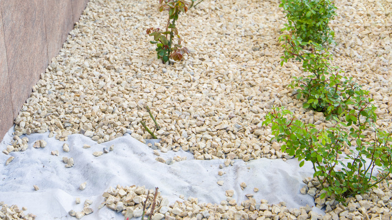 A gravel garden bed with weed barrier underneath showing through