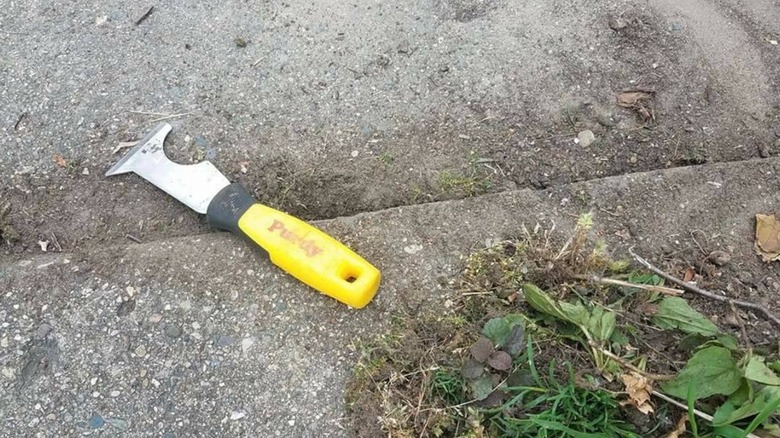 A yellow-handled paint scraper rest on the pavement next to weeds.