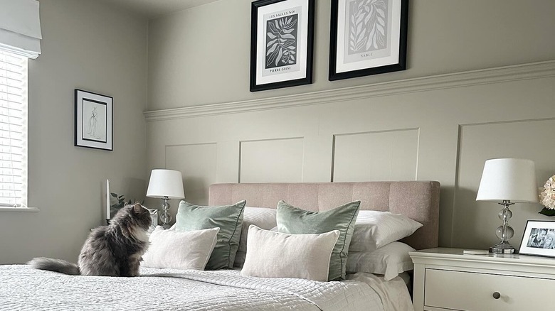 A cozy modern home with Drop Cloth Farrow and Ball walls and a cat