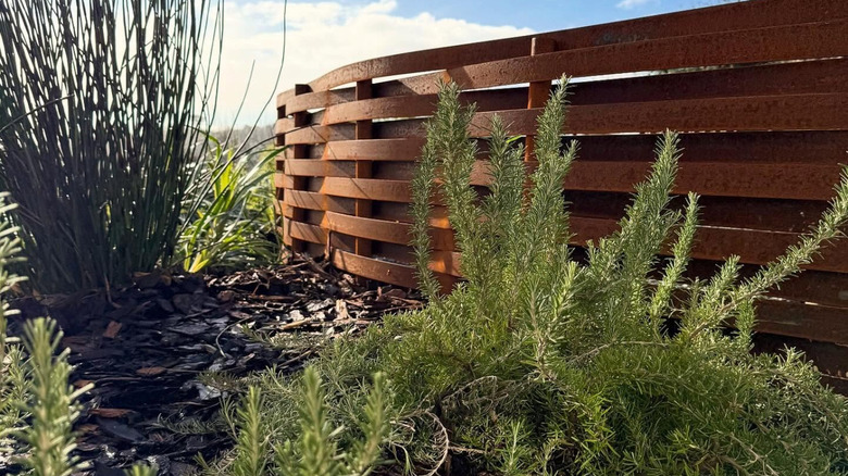 Woven design Corten steel fence up against plants in a yard.