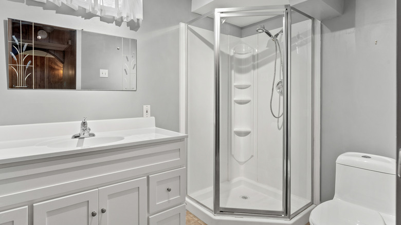 Bathroom with white toilet and sink and a shower with framed glass doors