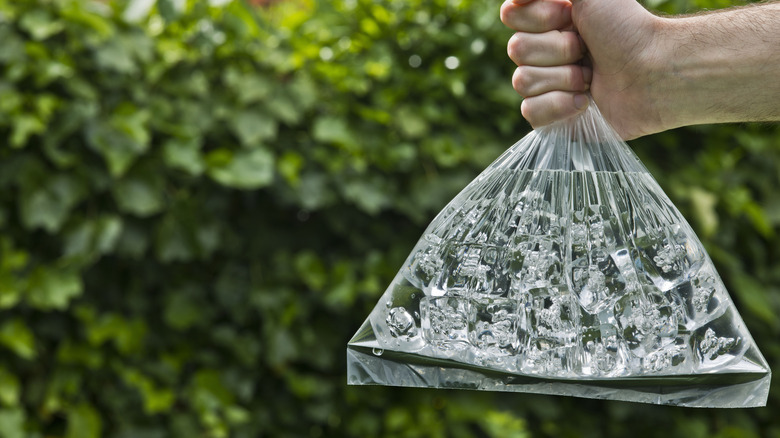 hand holding bag of ice outdoors