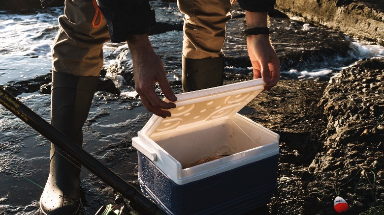 fisherman opening a cooler 