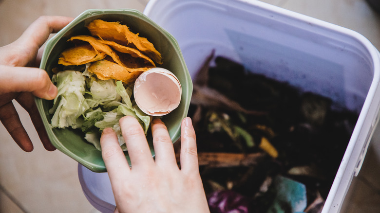 Leftover food scraps are being dumped into a white compost bin.