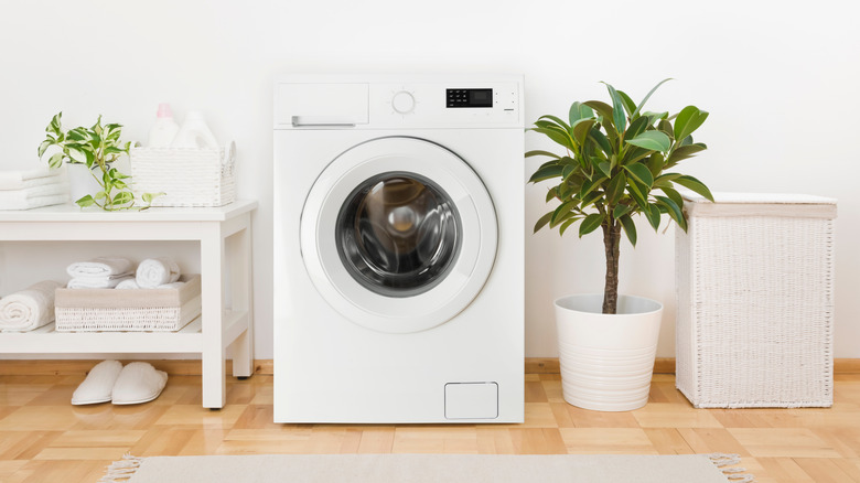 White washing machine beside houseplant