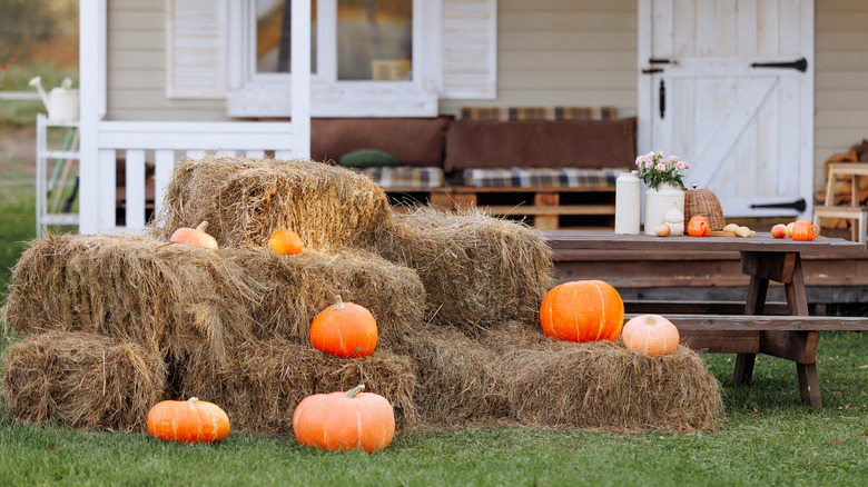 Large hay bales and pumpkins in front of home