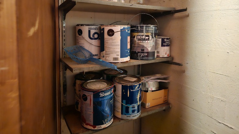 shelves in the basement with old paint cans
