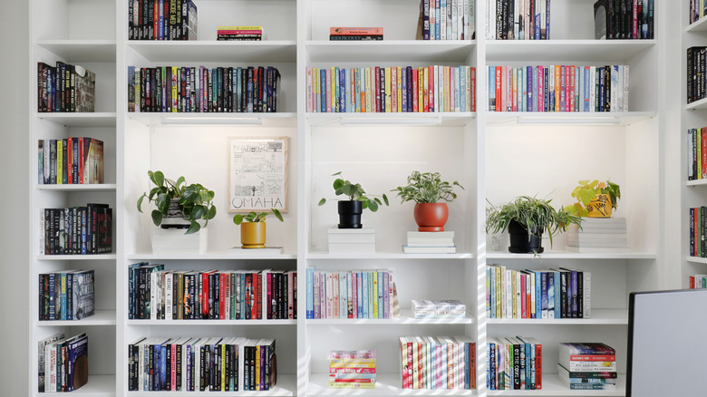 Floor to ceiling book shelf