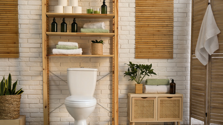 Toilet with compact shelving