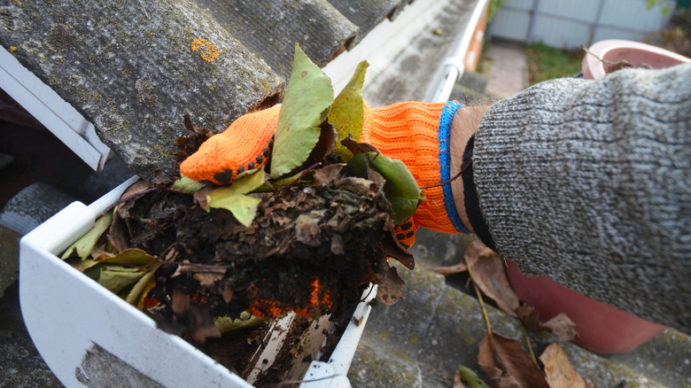 hand holding debris from gutter