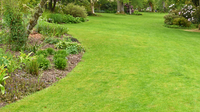 english edge in garden