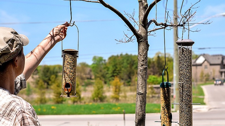 A person hangs a bird feeder on a tree branch, with two other bird feeders seen hanging on the right