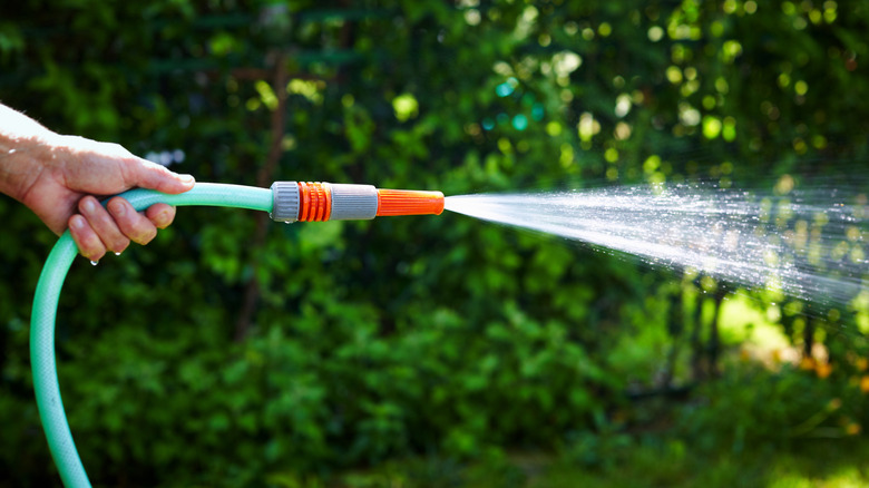 A person holding a green hose with an orange nozzle