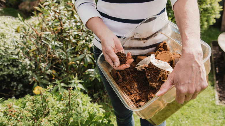 Woman scattering coffee grounds 