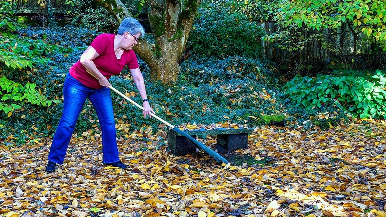 Person raking up wet leaves in their garden