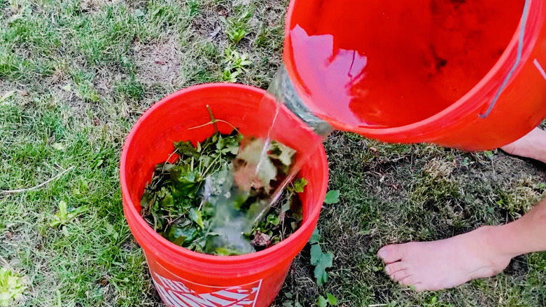 A gardener mixing up a JADAM fertilizer solution