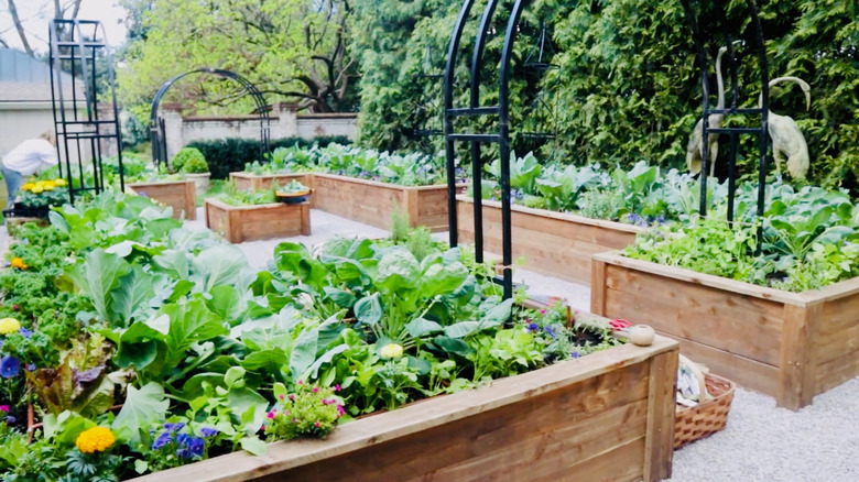 A Nicole Burke raised bed design illustrates her style