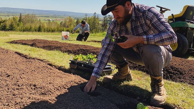 thodin89's garden "before" photograph of a man planting in soil
