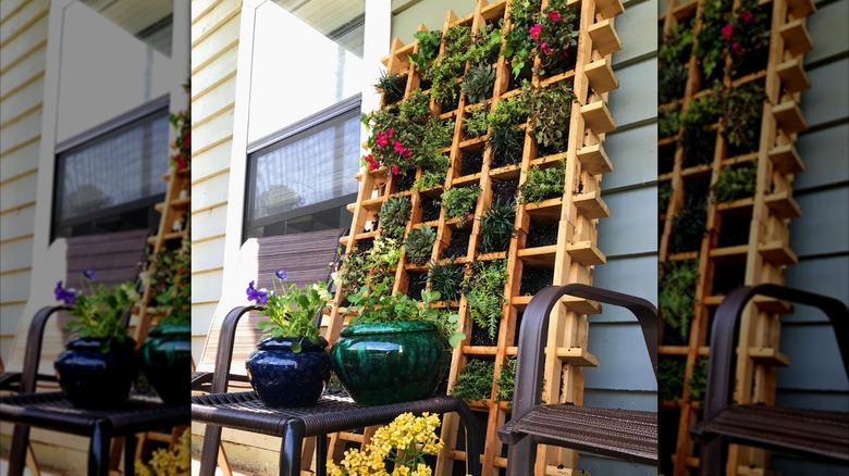 A DIY vertical garden made from a wooden wine rack.