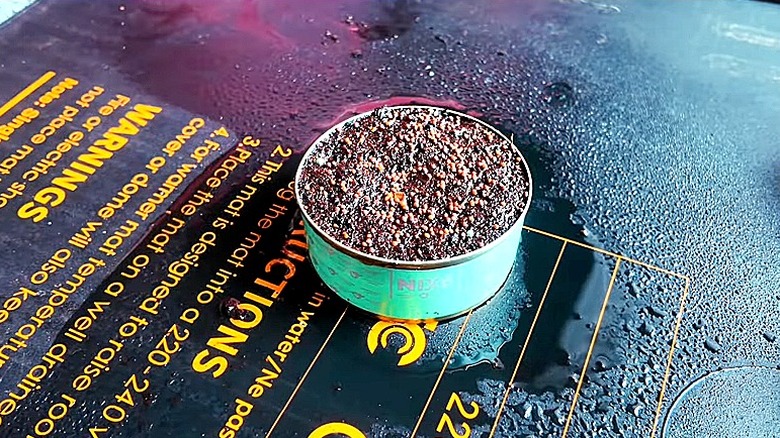 Seeds are seen watered in a tuna can microgarden surrounded by water