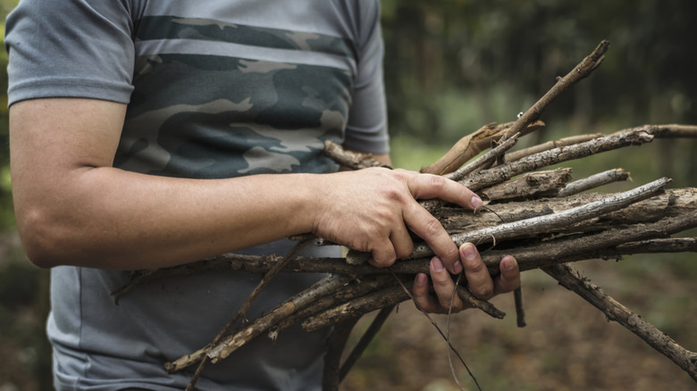A man collecting sticks in the woods.