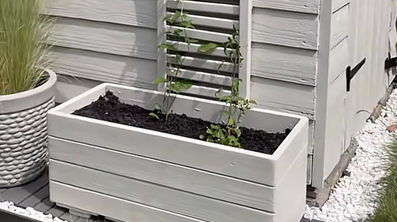 Clip from the original TikTok reel showing her wooden planter with built-in trellis.