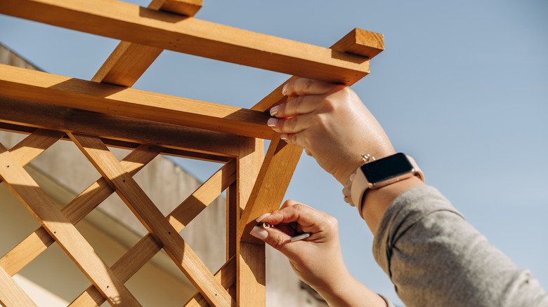 Hands attach a wooden trellis outdoors as part of a DIY garden project in warm sunlight; close-up shows tools, smartwatch and careful craftsmanship against a clear blue sky.