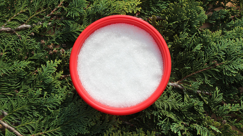 Epsom salt in a red bowl outdoors