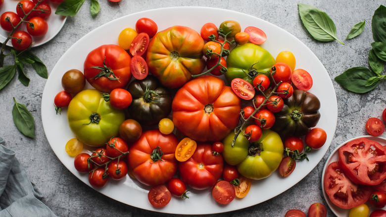 variety of tomatoes on a platter