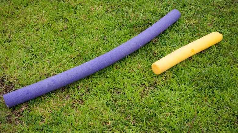 Purple and yellow pool noddles