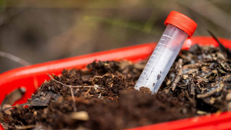 Soil collected for laboratory testing