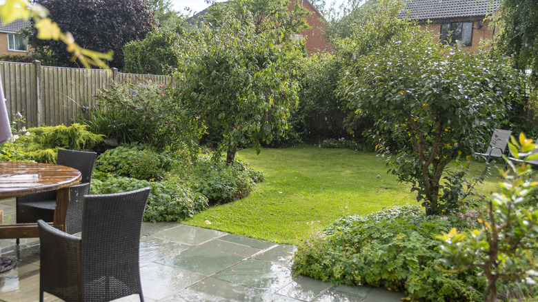 yard and garden during rainstorm